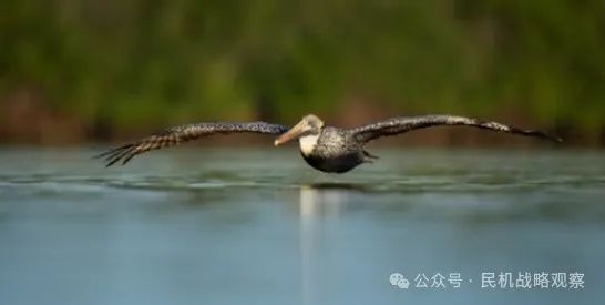从“里海怪物”到“深海滑翔者”：地效飞行器的前世今生与新能源进程(图3)