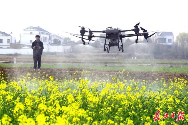 武汉低空每个高度都有飞行器(图8)