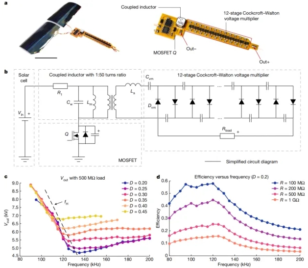 中国科学家突破超轻微型飞行器研究：世界最轻最小(图2)