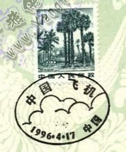 有动力驱动的固定翼飞行器(图8)