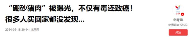 硼砂粽子泛滥不仅有毒还致癌长期食用损害内脏你还敢吃吗(图5)